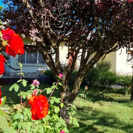 De Las Rosas Bariloche Exterior foto
