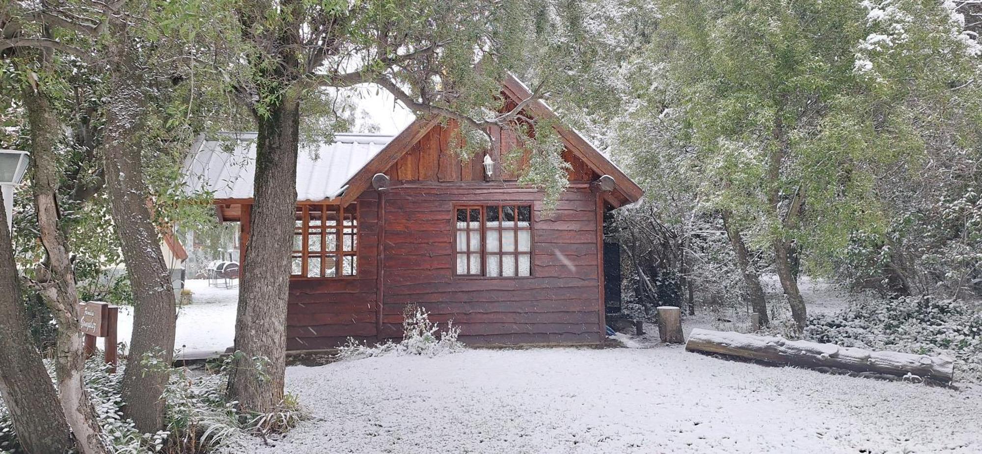 De Las Rosas Bariloche Exterior foto