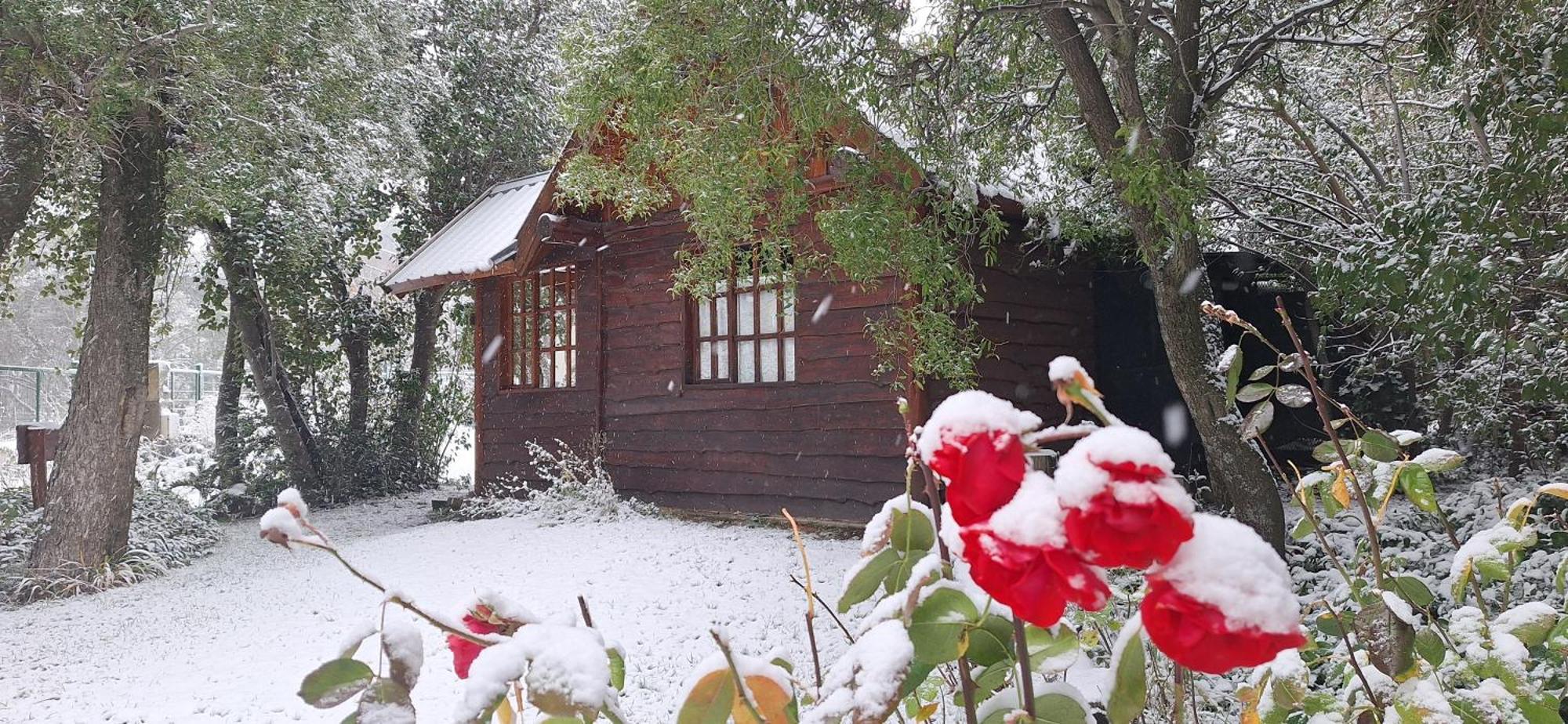 De Las Rosas Bariloche Exterior foto