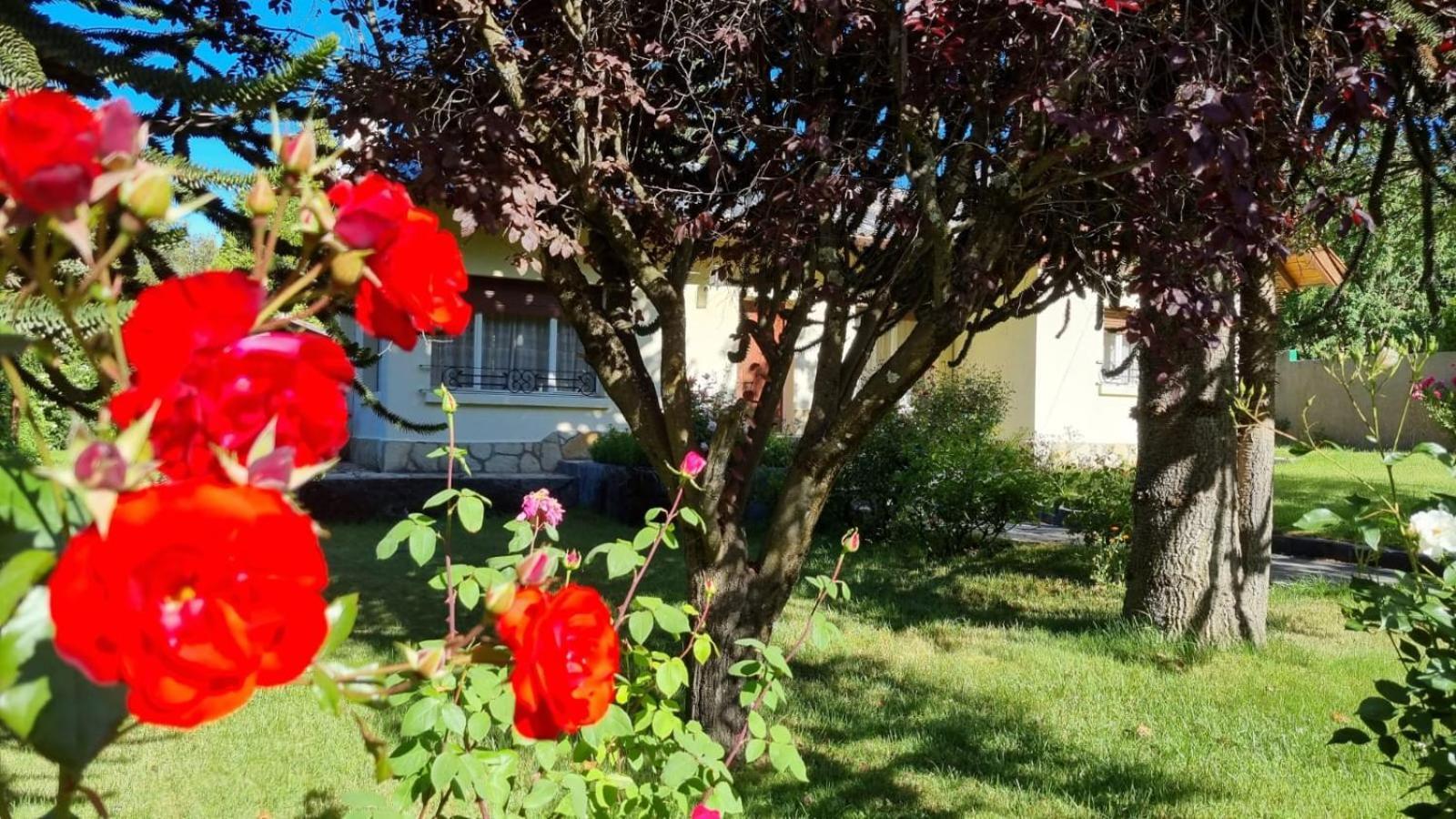 De Las Rosas Bariloche Exterior foto