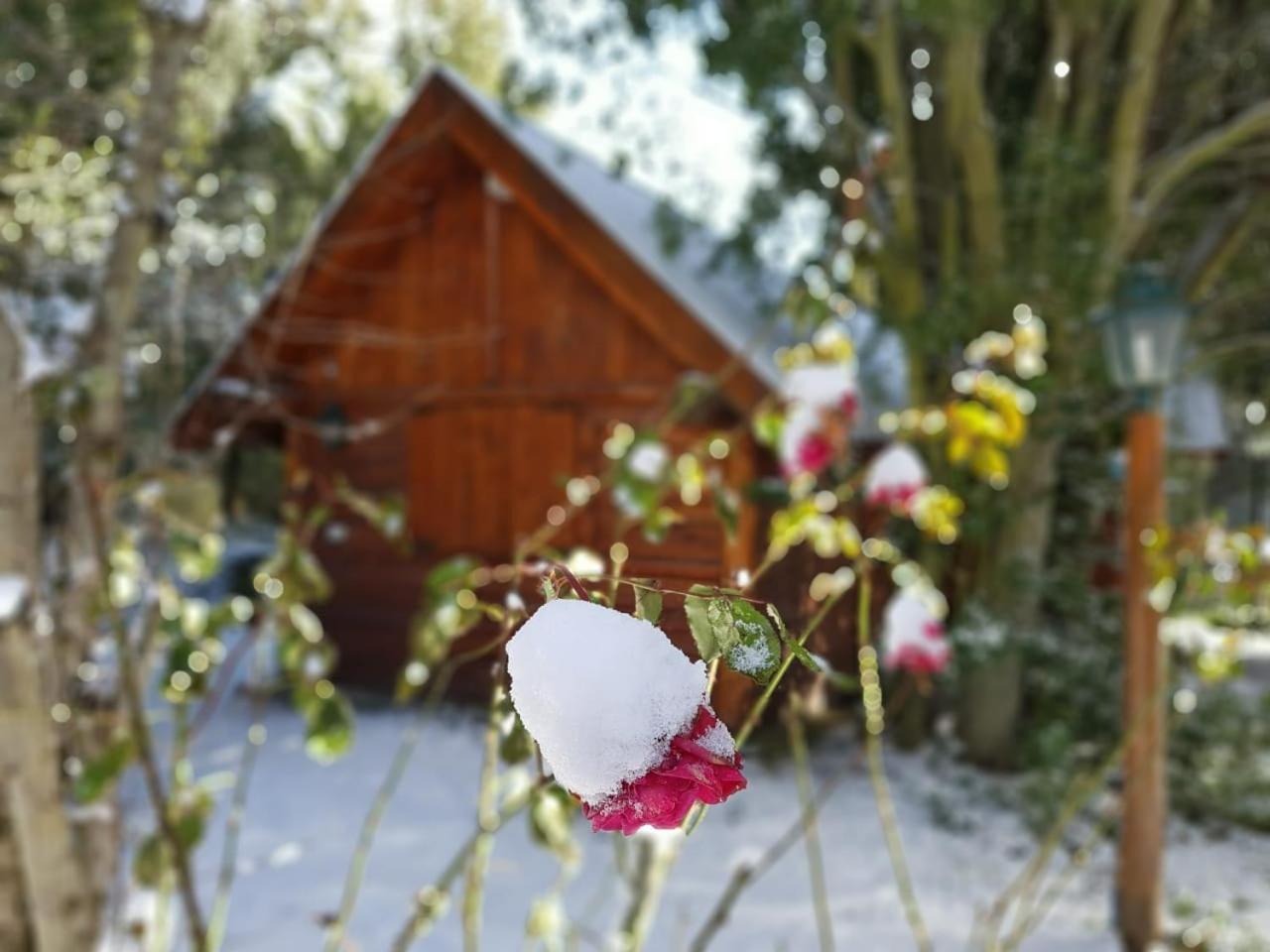 De Las Rosas Bariloche Exterior foto